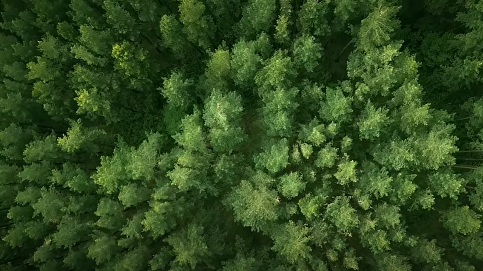 銳志機(jī)械全新愿景宣傳片《通過創(chuàng)新解決方案，賦能更綠色的未來》