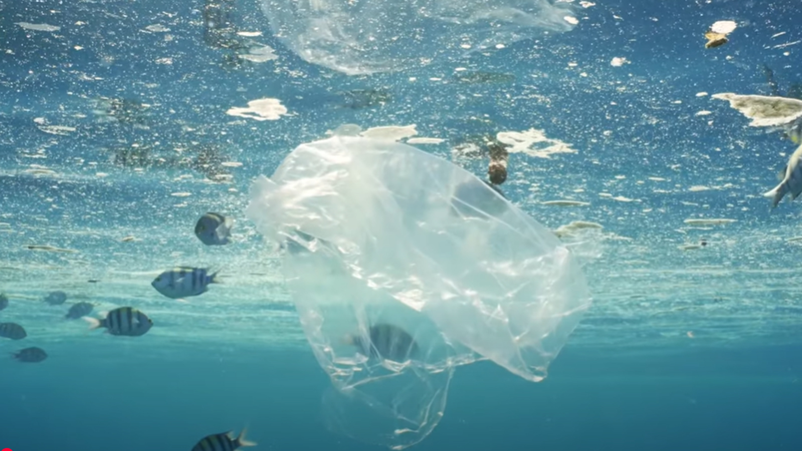 從塑料到紙袋:構建可持續包裝的未來